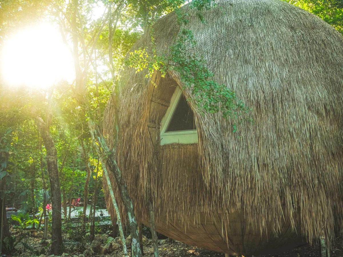 Casa Del Arbol At Villa Duendes Akumal Eksteriør billede